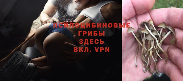 гидропоника Зеленодольск