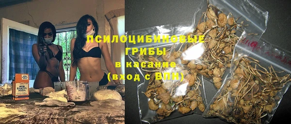 бошки Зерноград