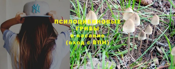 бошки Зеленокумск