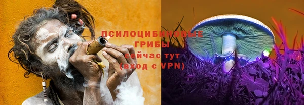 бошки Зерноград