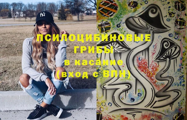 бошки Зерноград